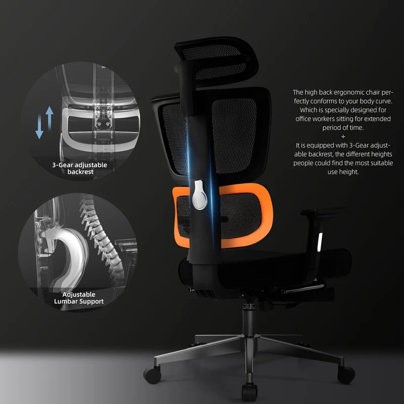 Mesh Series Ergo12