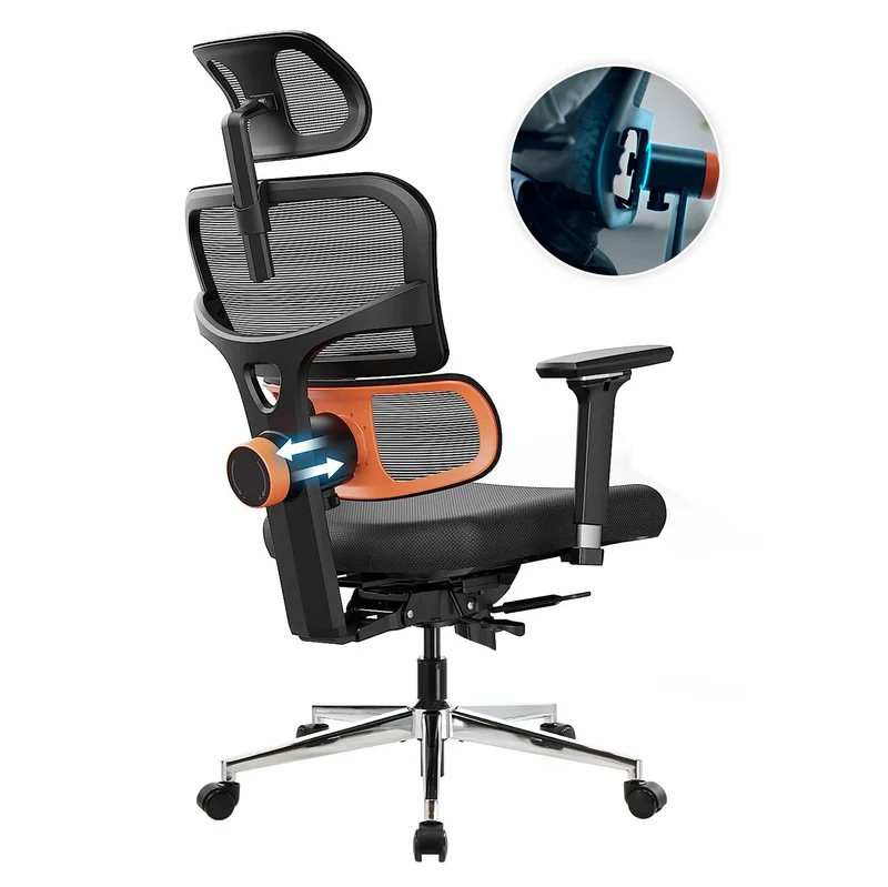 Mesh Series Ergo13