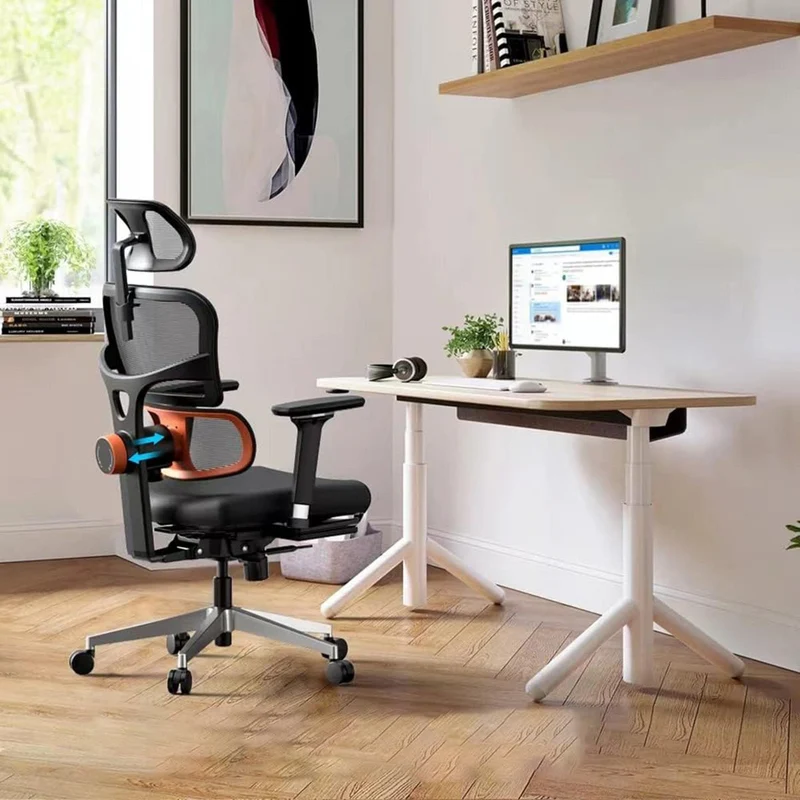 Mesh Series Ergo13
