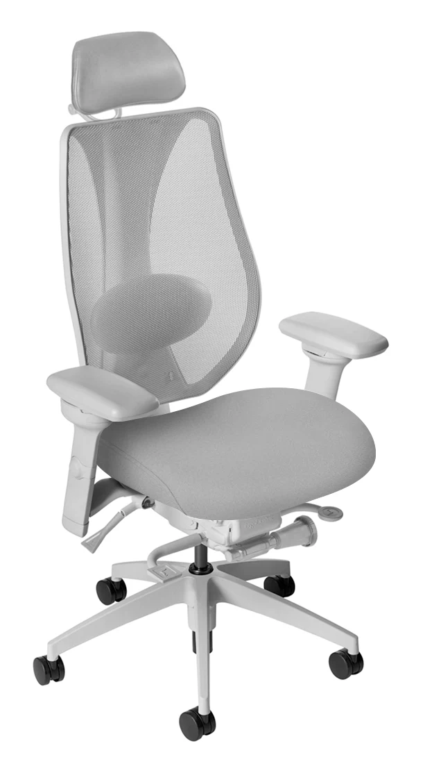 tCentric Hybrid with Mesh Backrest and Upholstered Seat, Synchro Glide Mechanism, Light Grey Frame, Open House Asteroid Upholstery