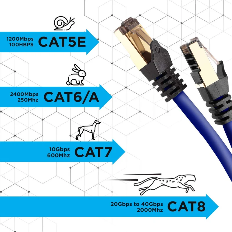 Duronic CAT8 BE 2 m Ethernet-Kabel | 40 Gbps Netzwerkabel | RJ45 Gigabit LAN Kabel Cat 8 | Patch Kabel 2000 MHz S/FTP Schirmung | TV Streaming Router Modem Switch Internetkabel 10 100 1000 Mbit